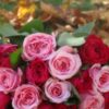 Theresa Huse 2011 -09011 for CA Growers California Grown Roses