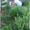 Theresa Huse 2012 DearCreatives-00968 Sammie putting on finishing touches on butterfly house Theresa Huse 2012 DearCreatives-00968 Sammie putting on finishing touches on butterfly house
