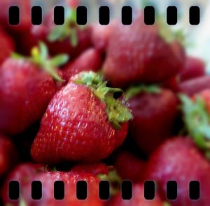 Theresa Huse 2012 -01202 Strawberries
