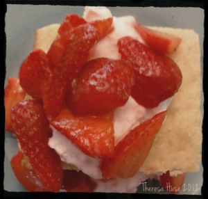 Theresa Huse 2012 -01212 Strawberry Shortcake