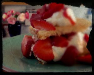Theresa Huse 2012 -01220 Strawberry Shortcake with Roses in the background