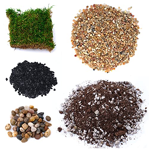 TerraGreen Creations Succulent Planter Kit with Soil, Gravel, Pebble, Moss,