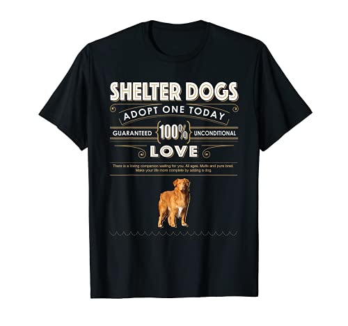 Shelter Dogs Adopt One Today 100% Unconditional Love