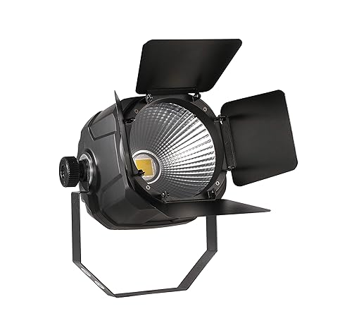 2in1 Professional Powerful COB LED Spotlight 100W Hybrid 50/50 Cool