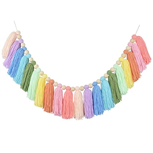 DrCor Pastel Rainbow Tassel Garland Colorful Preppy Bunting Banner for