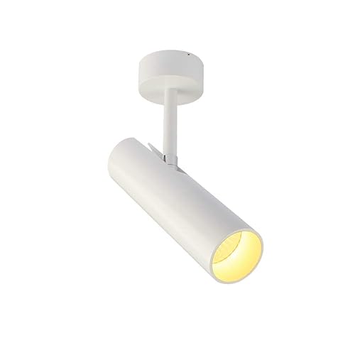 Aisilan LED Ceiling Spotlights Anti Glare Matte Aluminum Accent Lamp