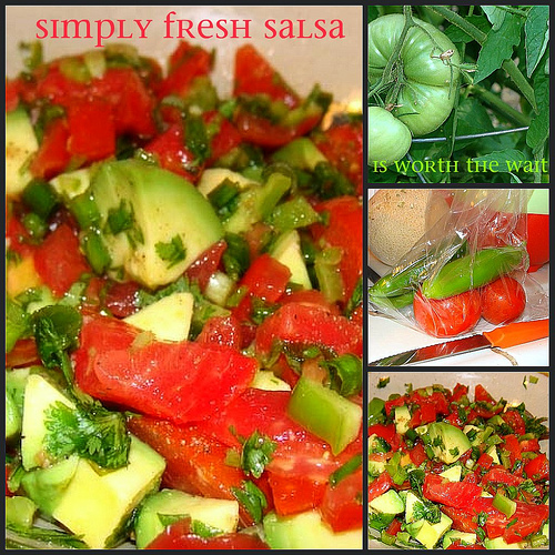 Tomato Recipes, Fresh Salsa