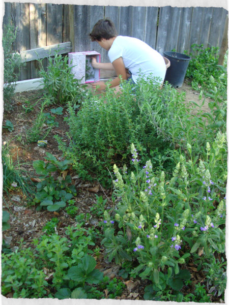 how to make a butterfly feeder,and butterfly garden kids summer craft, and activity.