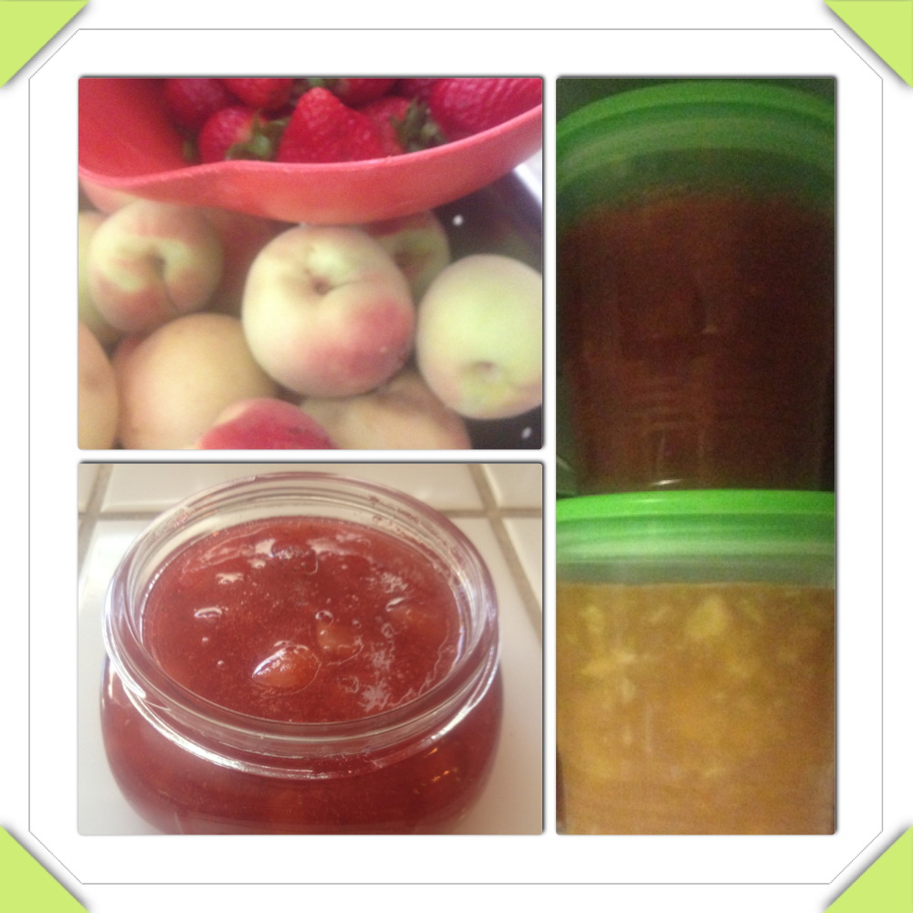 Freezer Canning – Canning & Recipes + Link Up