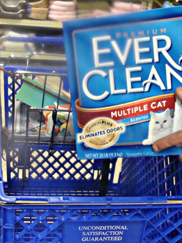 Petsmart everclean on sale