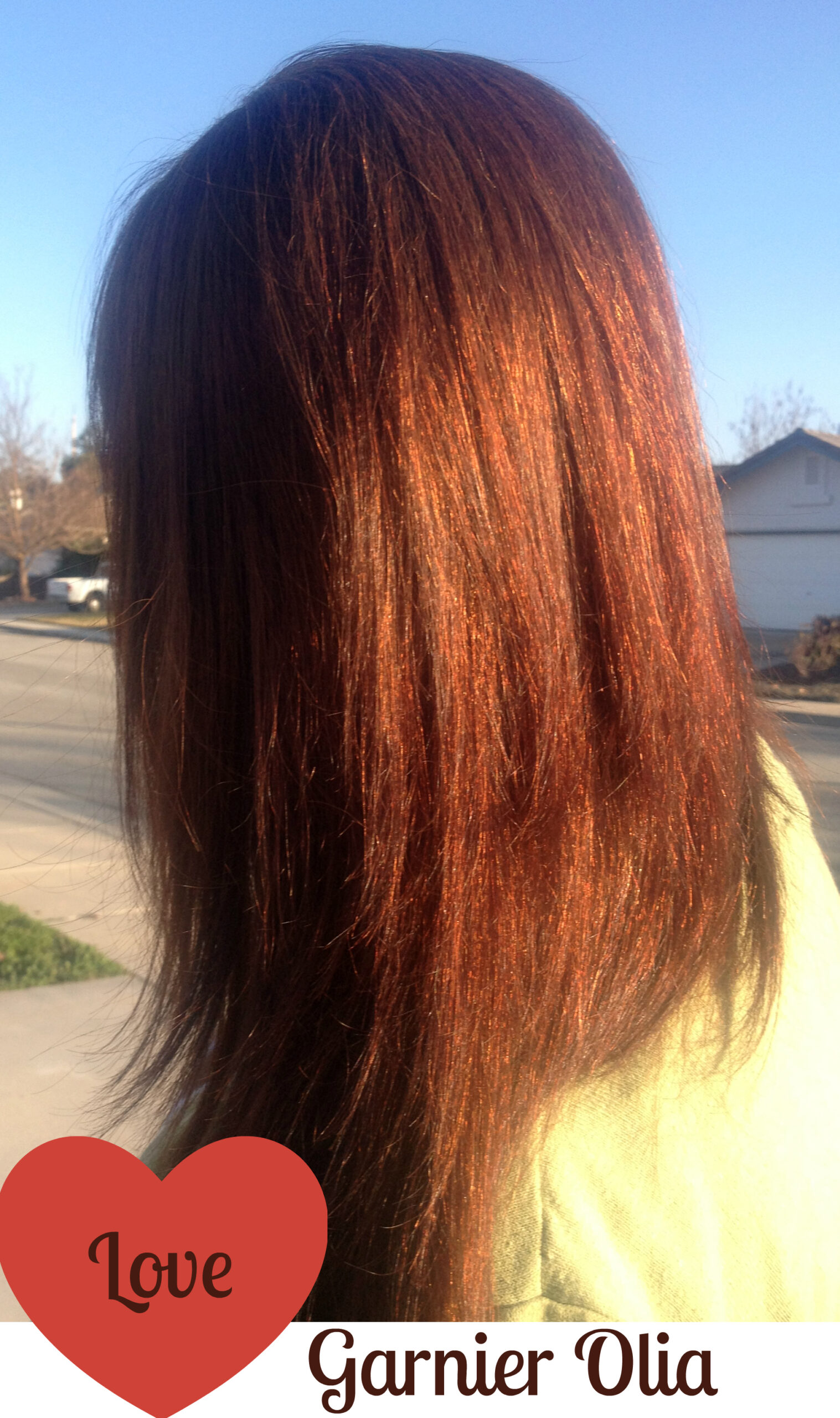 Garnier Olia Hair Coloring Product #Review