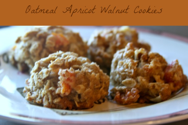 Oatmeal Apricot Walnut Cookies,Easy Cookie Recipe,Theresa Huse 2013-1034