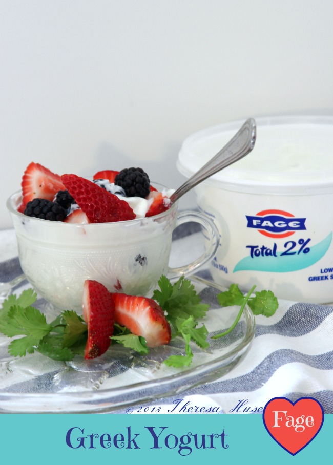 Fage Greek Yogurt © 2013 Theresa Huse 2013-1273