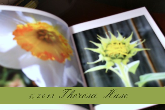 Photo Book Theresa Huse 2013