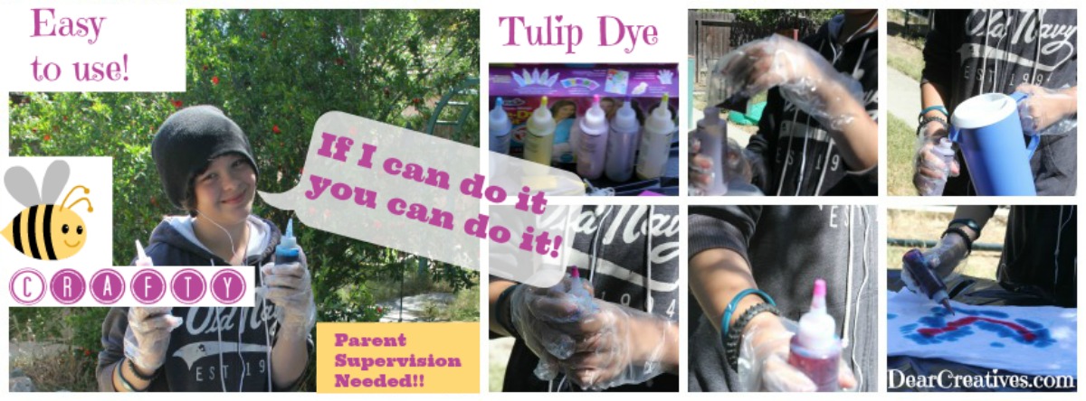 Tulip Dye Kit Easy to Mix and Use Tie Dye © 2013 Theresa Huse DearCreatives.com