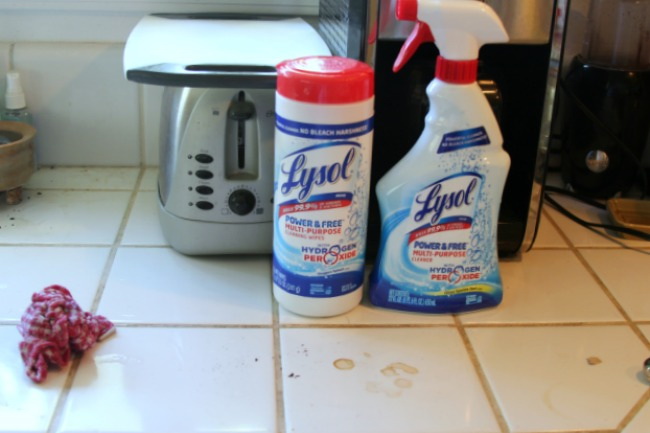 Cleaning counters, dirty counters, Lysol® Power & Free™, 2, Theresa+Huse+2013