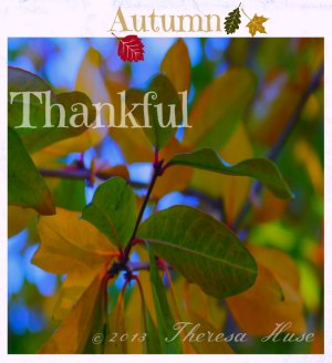 Little Things, Big Things Autumn Photography & a #Freebie
