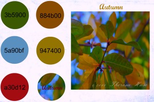 color block, autumn leaves, color inspiration, 