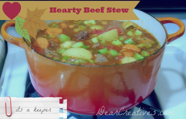 Beef Stew in a pot_Theresa Huse 2013