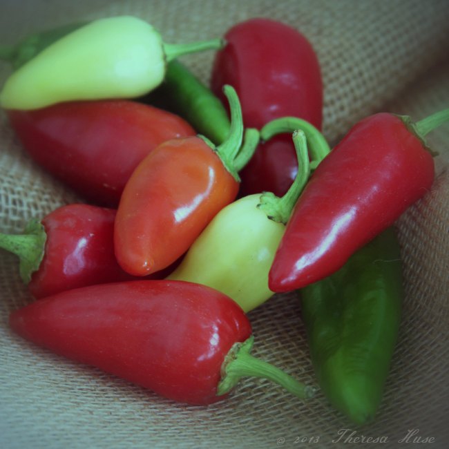 peppers_ jalapeno peppers_Theresa Huse 2013