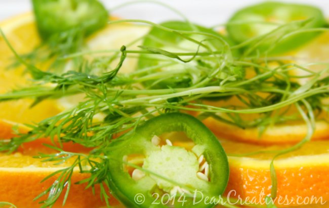 oranges lemons jalapenos and dill weed _fruit slices and herbs_Theresa Huse 2013