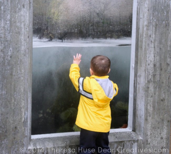 Child watching tide waves at Monterey Bay Aquarium