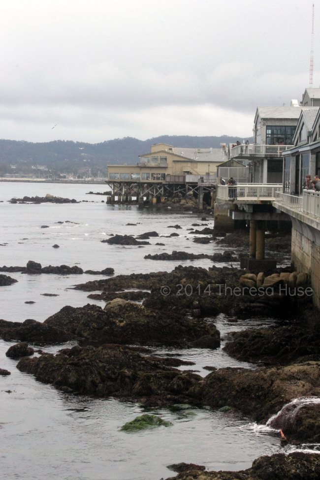 Monterey, CA_ Monterey Bay