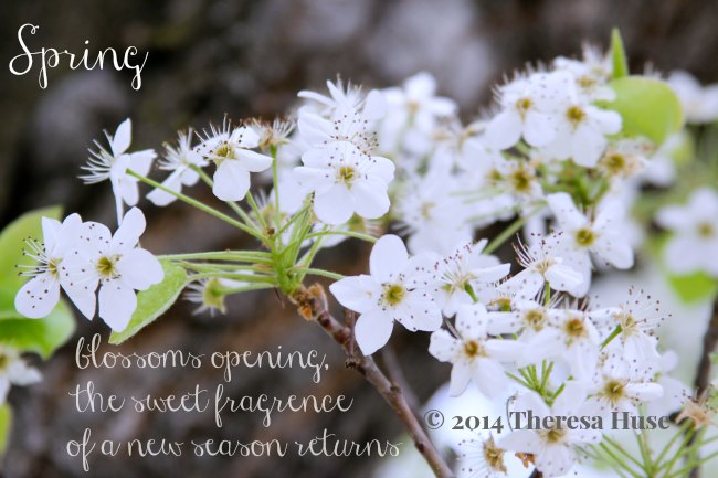 Behind the Blog: Spring Photography Photo Ideas Classes & Blogging Tips