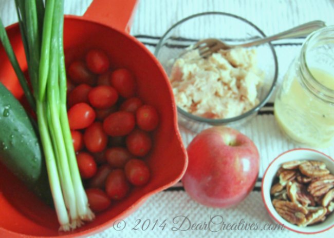 veggies_apple_tuna in a bowl_salad dressing_salad fixings_