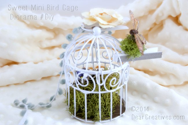 tiny bird cage