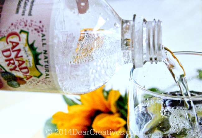 Canada Dry sparkling water being poured into a glass_