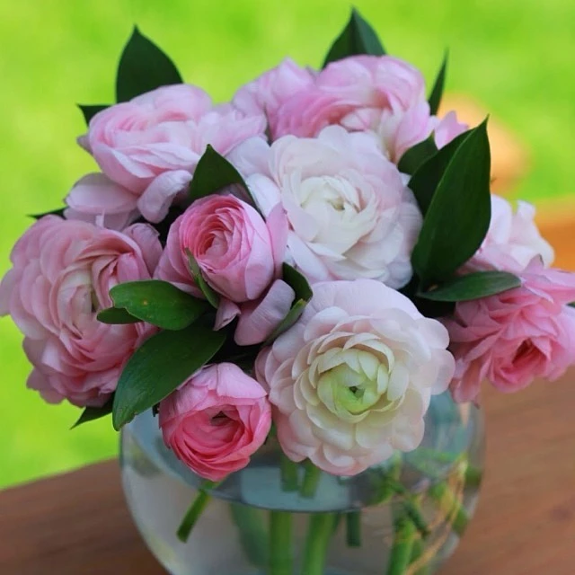 Thrifty Tuesday: Double Up #Deal Give The Gift of Love With Beautiful Flowers