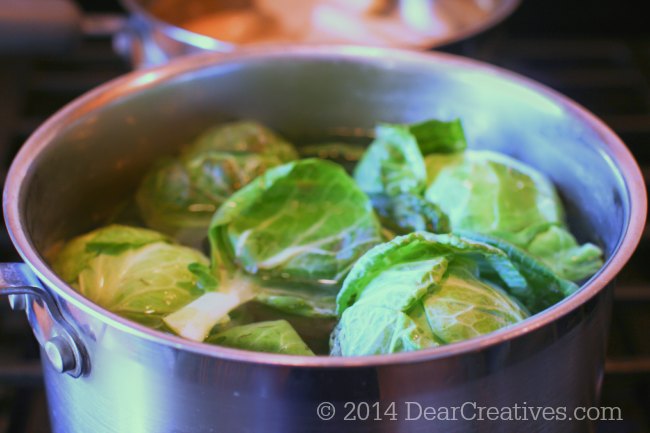 Brussel Spouts cooking in a pot_