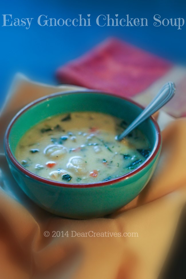 Gnocchi Chicken Soup in a bowl with a spoon_© 2014 DearCreatives.com