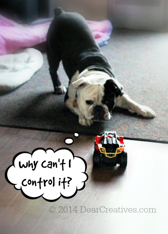 Hot Wheels RC High Control Frenzy_© 2014 DearCreatives.com