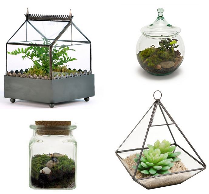 DIY Gardening Gifts: Terrarium Crafts