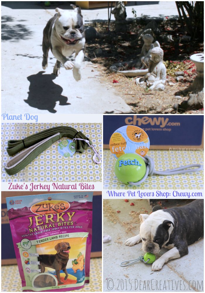 Bulldog Family Pet Supplies Toys and Treats