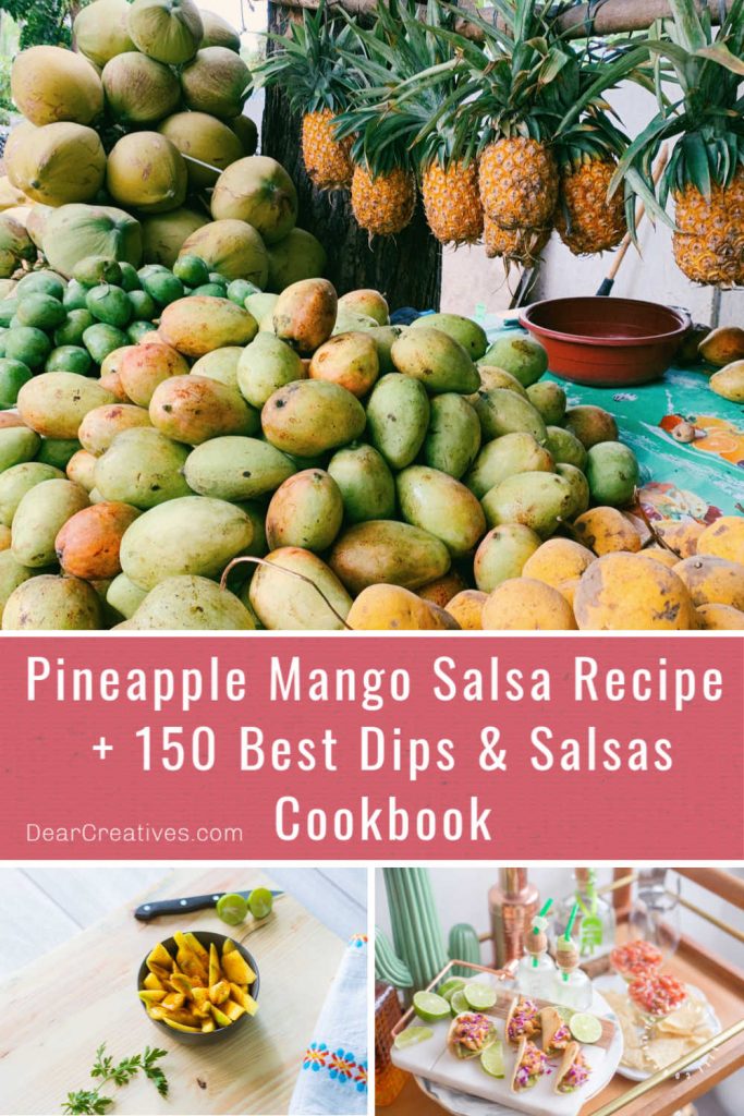 Pineapple Mango Salsa Recipe + 150 Best Dips & Salsas Cookbook Review - DearCreatives.com