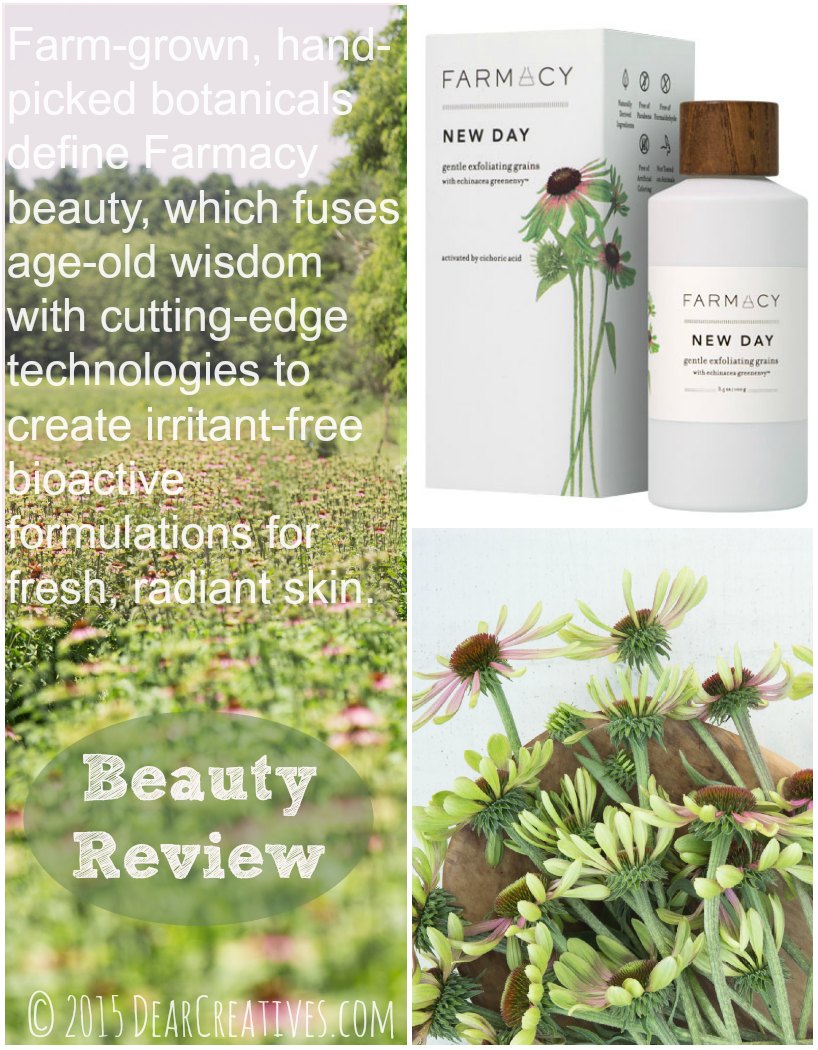 Beauty Review Farmacy New Day Gentle Exfoliating Grains