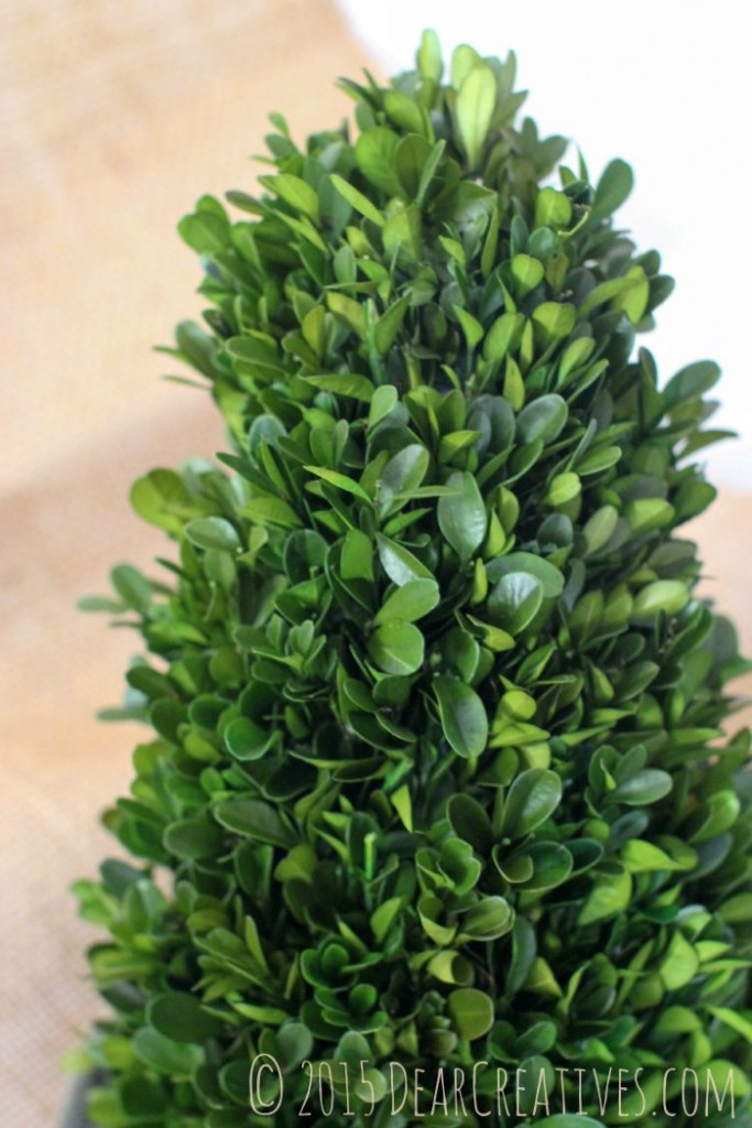 Home Décor Silk Plants Direct Review & DIY