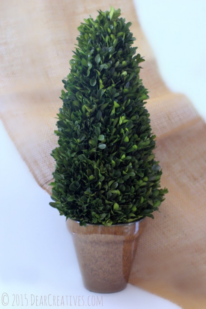 Home Décor Silk Plants Direct Review & DIY