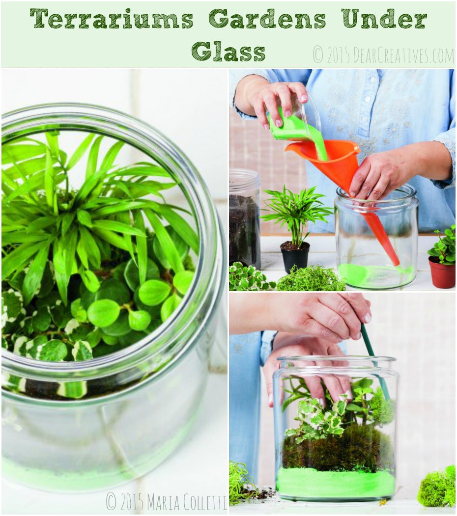 DIY Resource! Learn How to Make Terrarium Gardens Under Glass