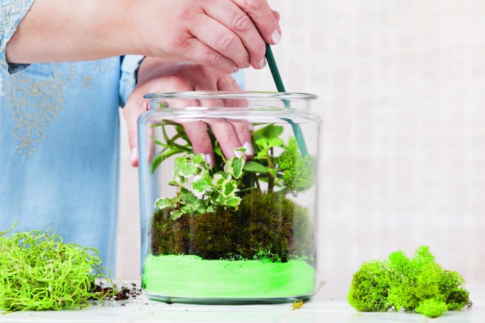 terrariums Gardens Under Glass diy terrariums