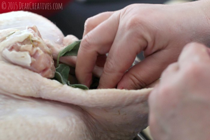 Stuffing a turkey with sage