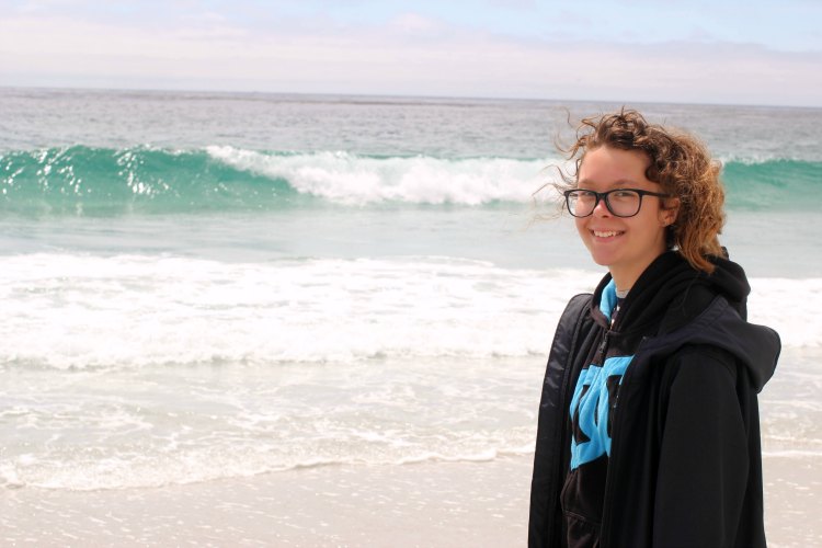 Travel |Carmel California Ocean at 17 Mile Drive Carmel