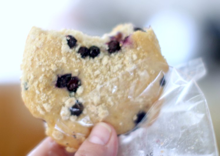 healhty snacks Wild Blueberry Vitatops DearCreatives.com