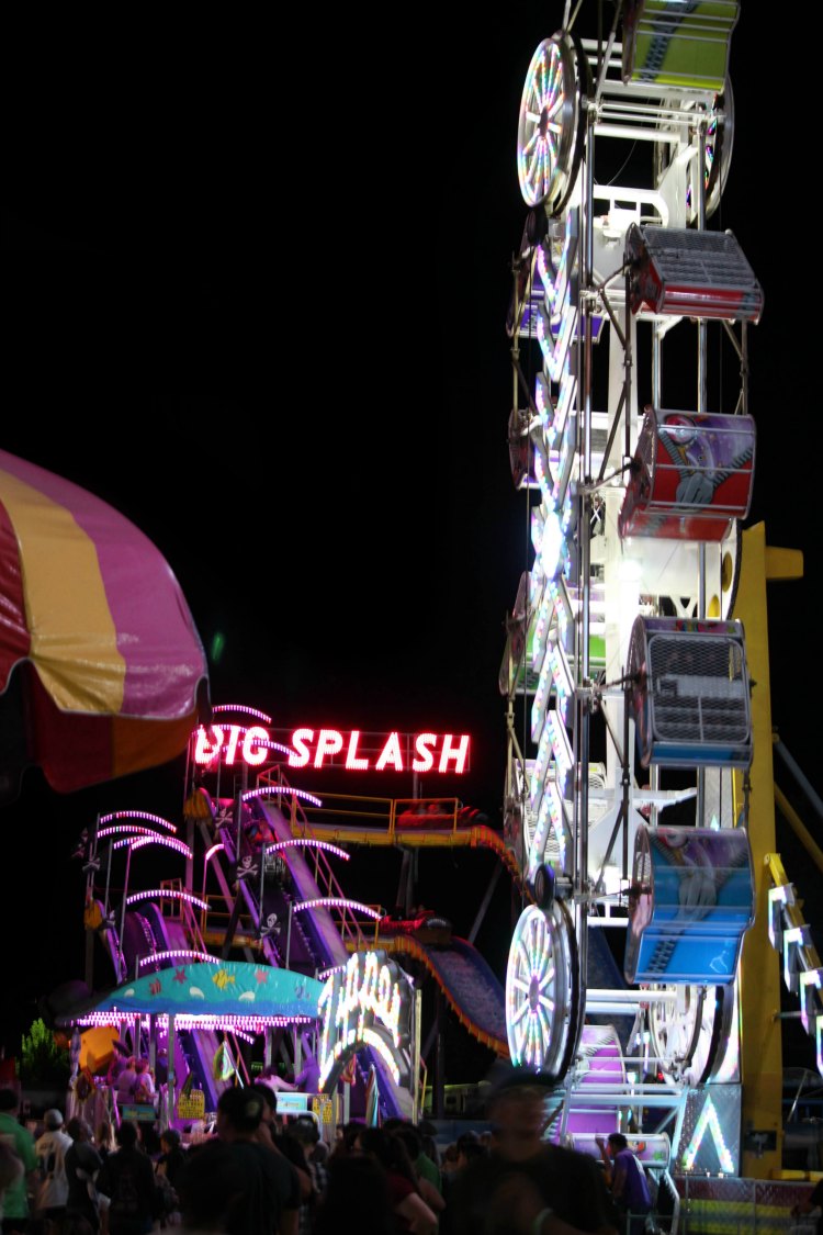 Zipper Ride at the Mid State Fair - DearCreatives.com