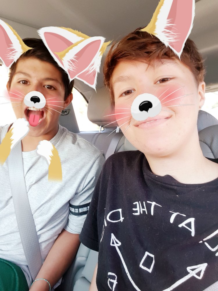 Photo taken with Samsung Galaxy GS8 cell phone stickers