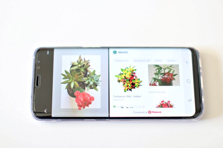 Samsung Galaxy cell phone photo on cell phone using the Bixby vision technology - DearCreatives.com