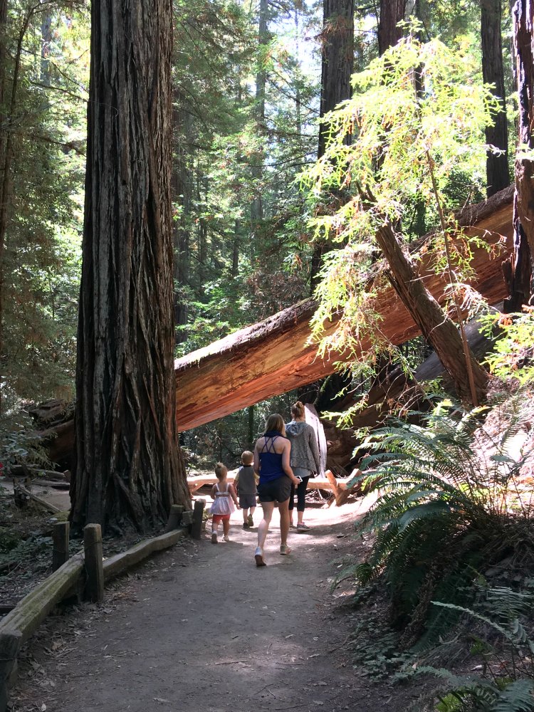 Moms hiking on a trail with kids © 2017 DearCreatives.com